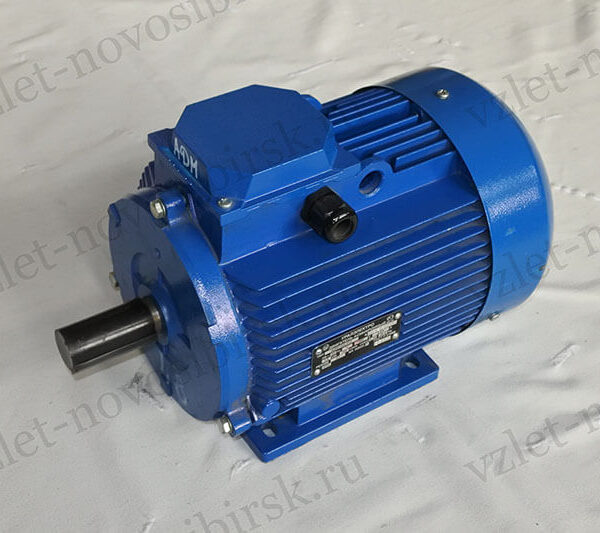 Электродвигатель АДМ 100 L8 (1,5 кВт, 750 об/мин)