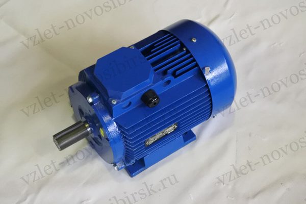 Электродвигатель АДМ 100 L2 (5,50 кВт, 3000 об/мин)