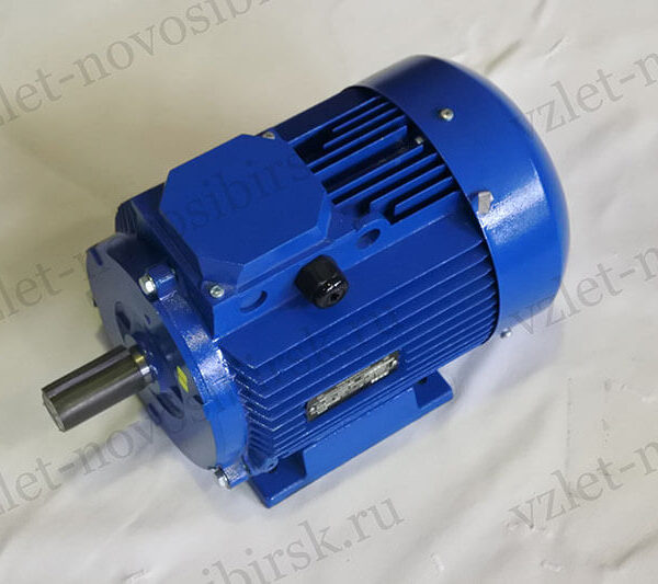 Электродвигатель АДМ 100 L2 (5,50 кВт, 3000 об/мин)