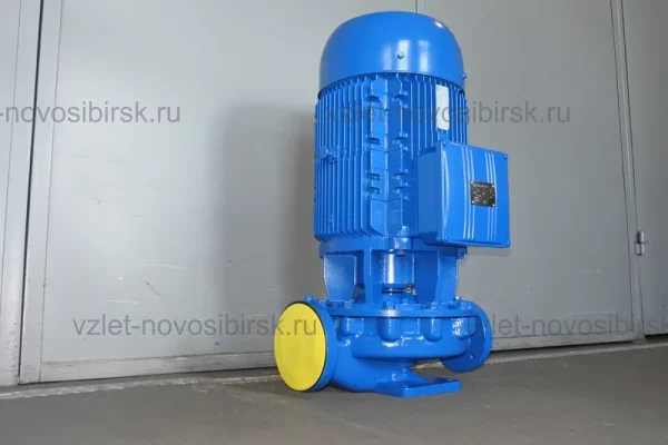 Электронасос Иртыш ЦМЛ 80/250.250-22/2-300